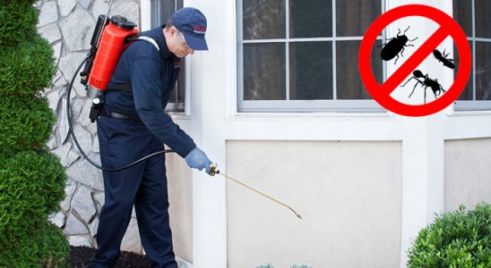 Uzunköprü Fare İlaçlama böcek ilaçlama ve haşere kontrolü — ilaclama-tr.com